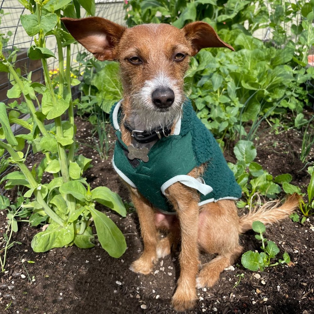 Meet your Posher, Kate